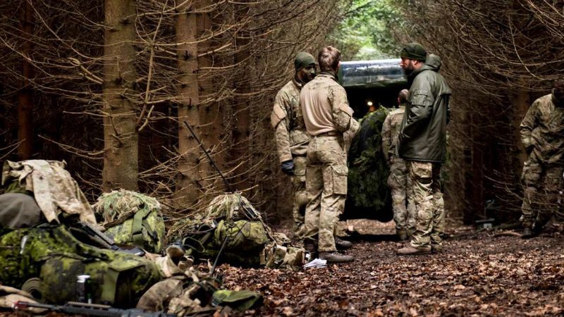 En flok soldater i camouflagedress i tæt, dansk nåleskov bag ved jeep